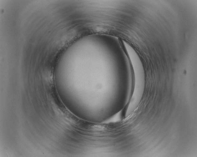 X0000088590176200706081337