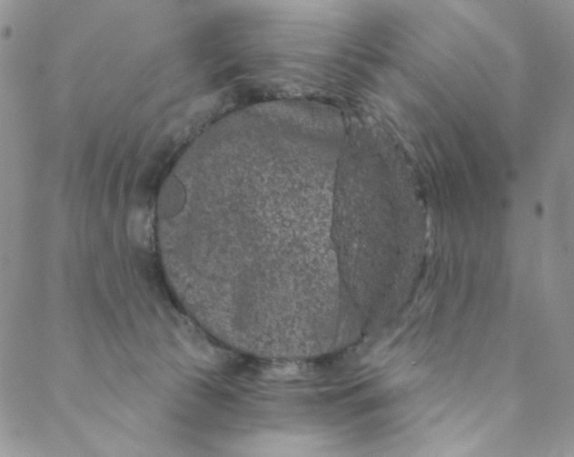 X0000088590177200706081337