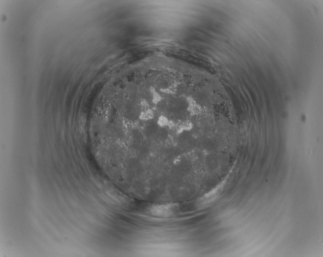 X0000088590178200706081337