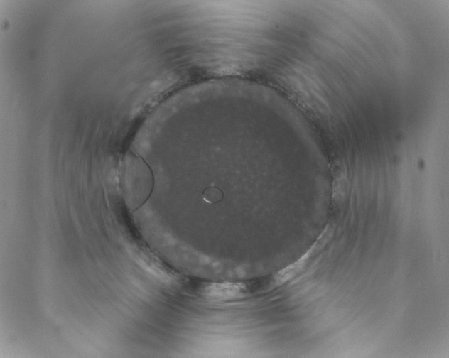 X0000088590179200706081337