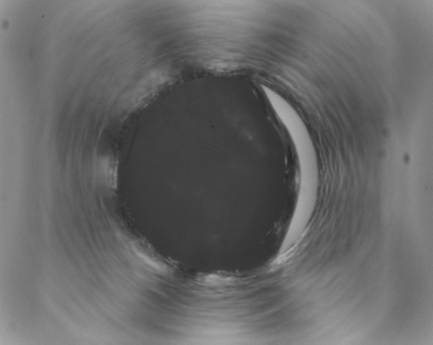 X0000088590180200706081337