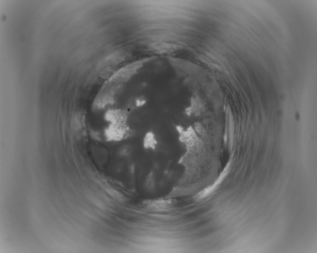 X0000088590182200706081337