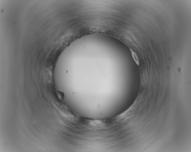 X0000088590183200706081337