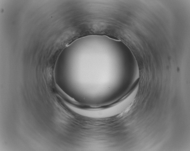 X0000088590184200706081337