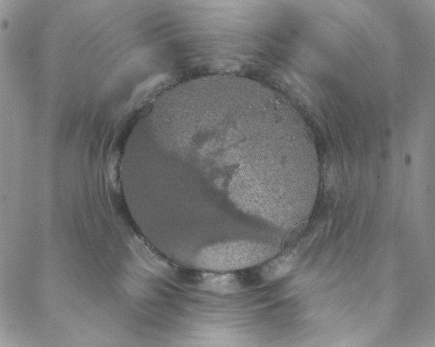 X0000088590185200706081337