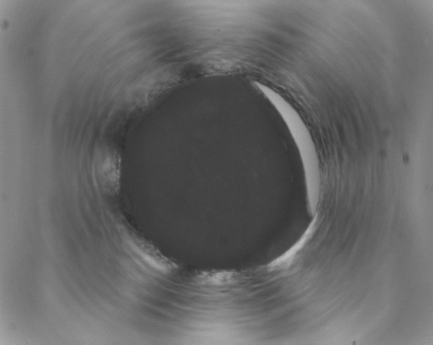 X0000088590186200706081337