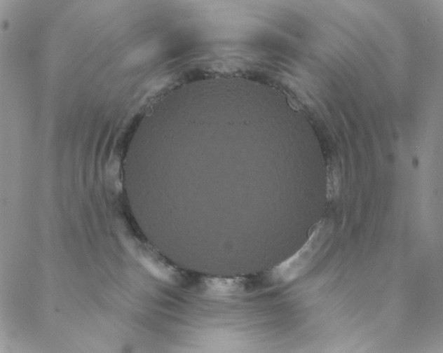 X0000088590187200706081337