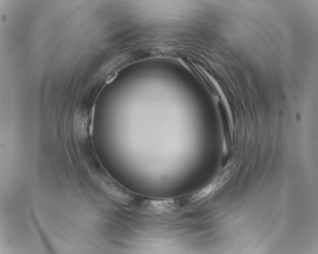 X0000088590188200706081337