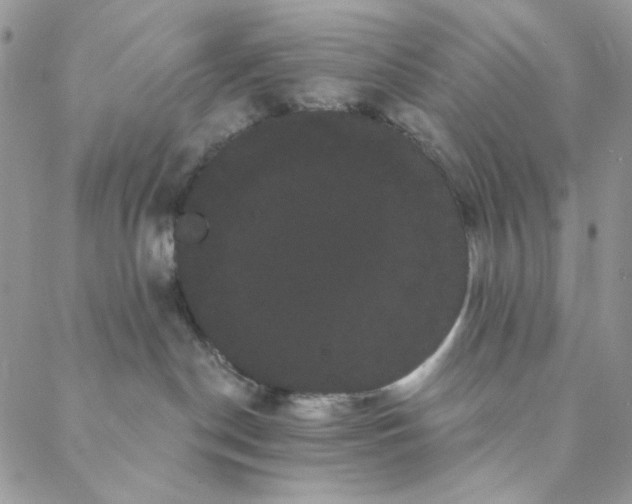 X0000088590190200706081337