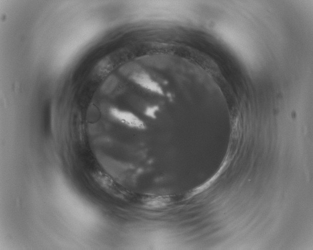 X0000088590191200706081337