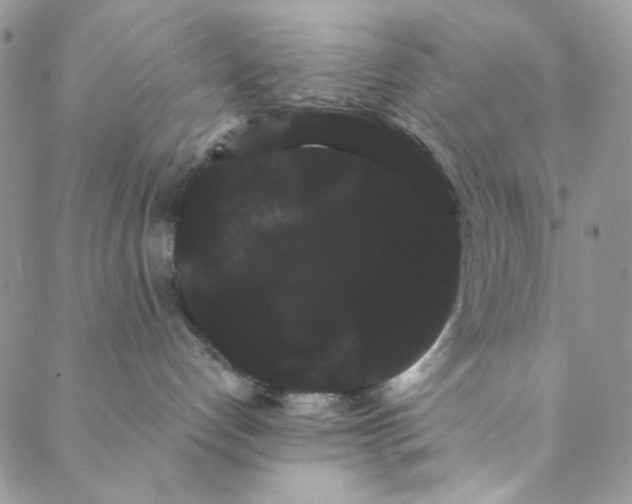 X0000088590192200706081337