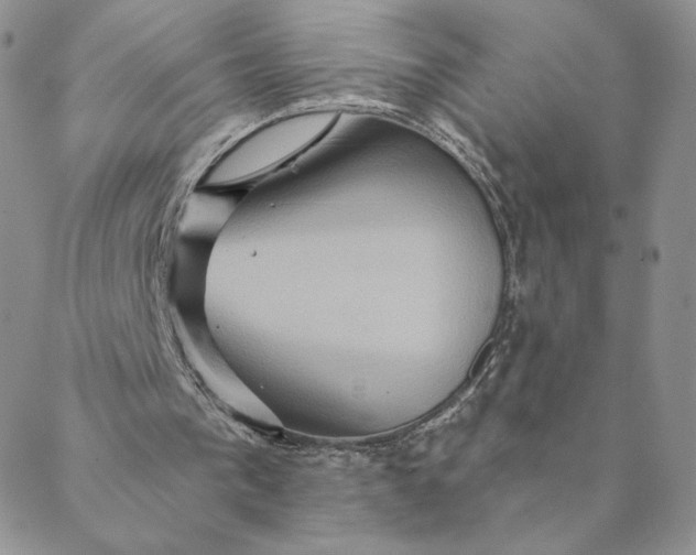 X0000088590193200706081336