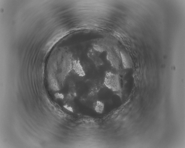 X0000088590194200706081336