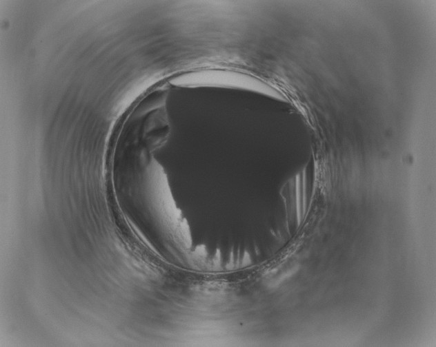 X0000088590196200706081336