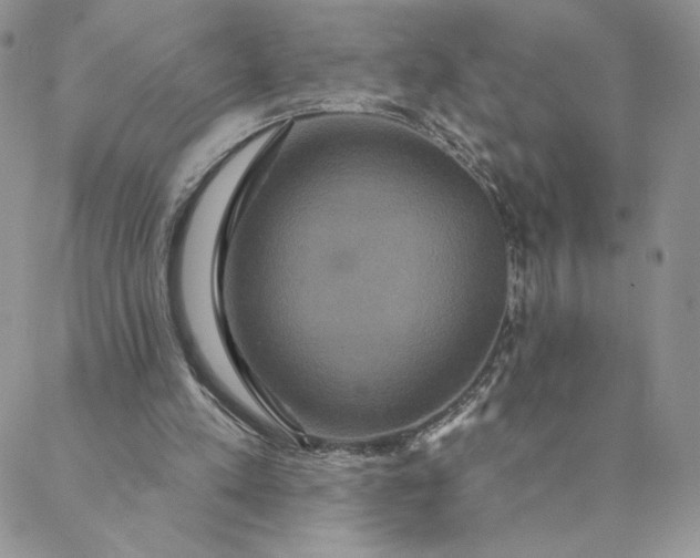 X0000088590197200706081336