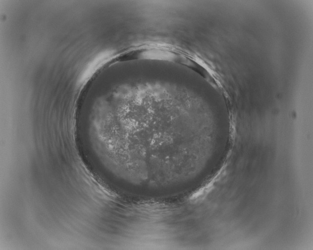 X0000088590199200706081336