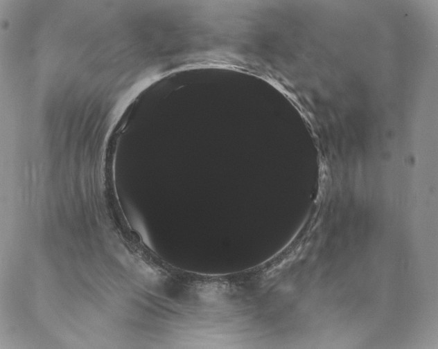 X0000088590200200706081336