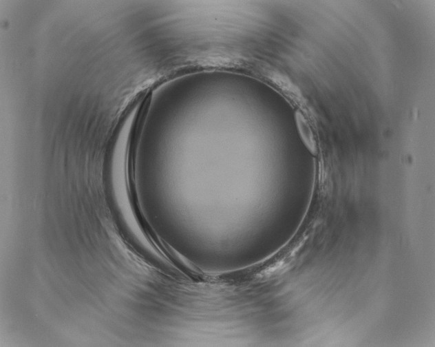 X0000088590201200706081336