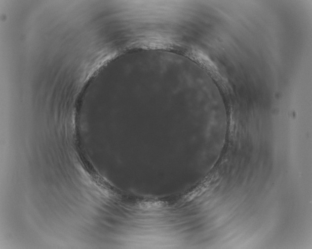 X0000088590202200706081336