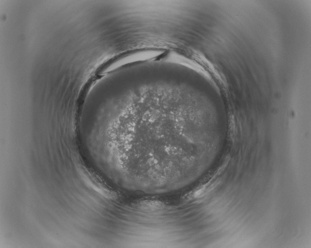 X0000088590203200706081336