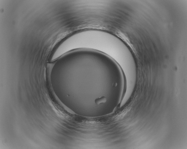 X0000088590205200706081336