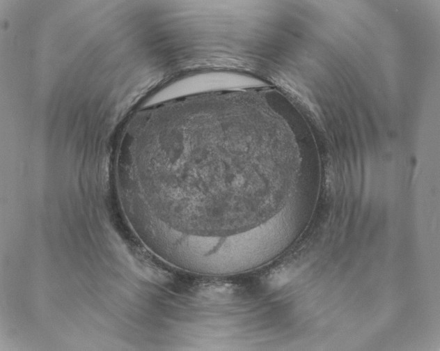 X0000088590206200706081336