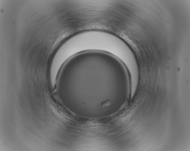 X0000088590207200706081336