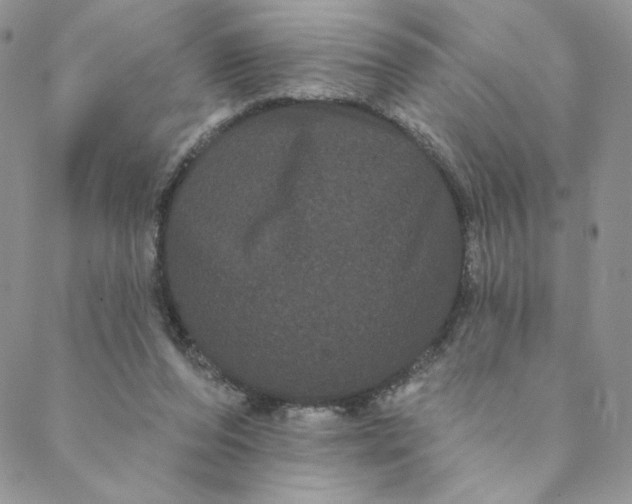 X0000088590208200706081336