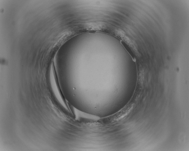 X0000088590209200706081336