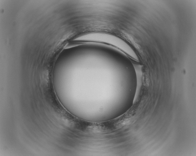 X0000088590211200706081336