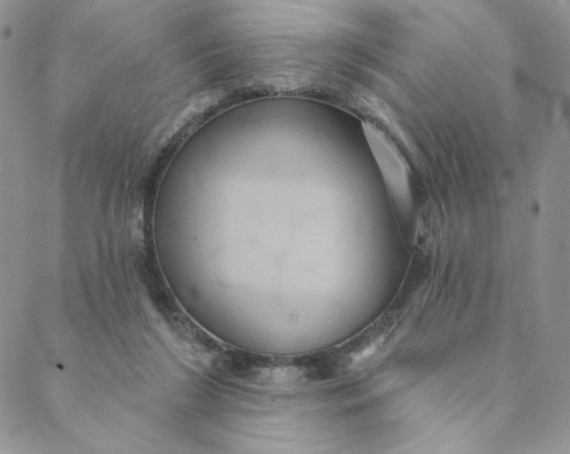 X0000088590212200706081336