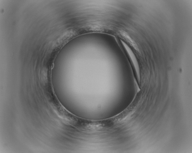 X0000088590213200706081336