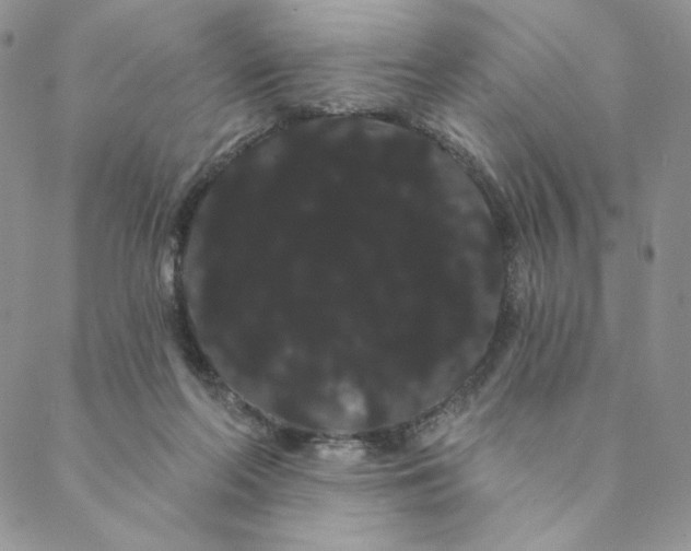 X0000088590214200706081336