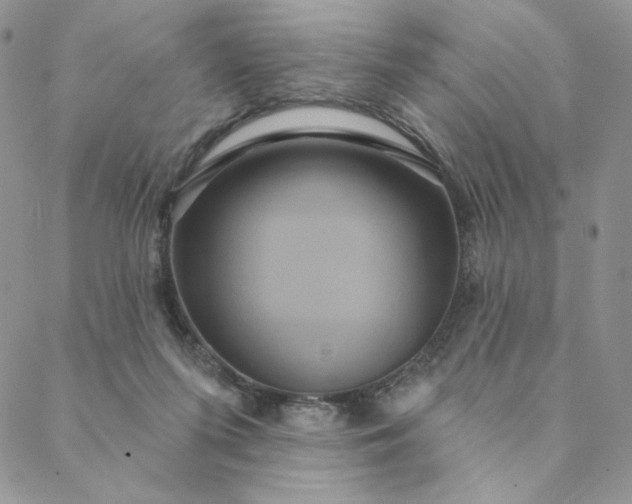 X0000088590215200706081336