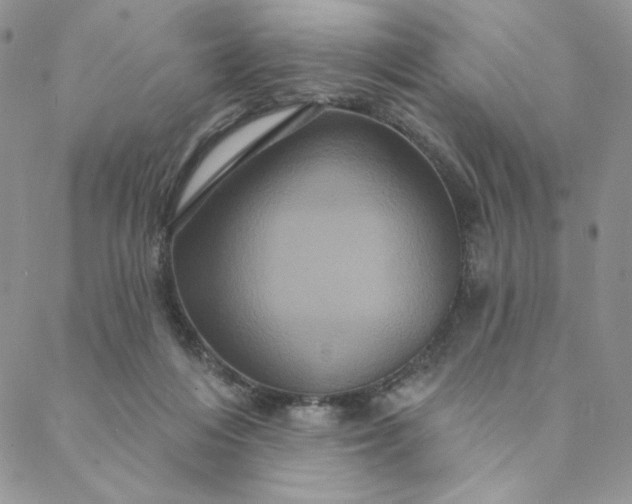 X0000088590216200706081336