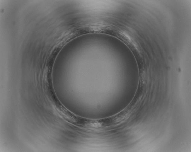 X0000088590217200706081336