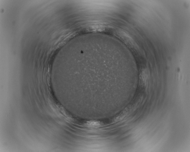 X0000088590218200706081336