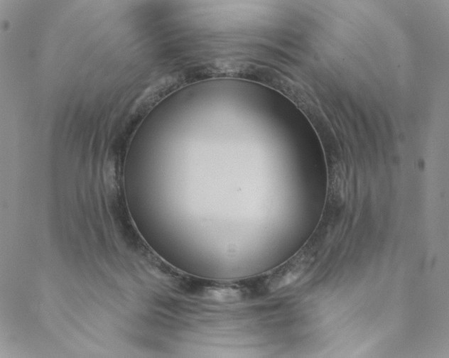 X0000088590220200706081336