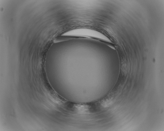 X0000088590221200706081336