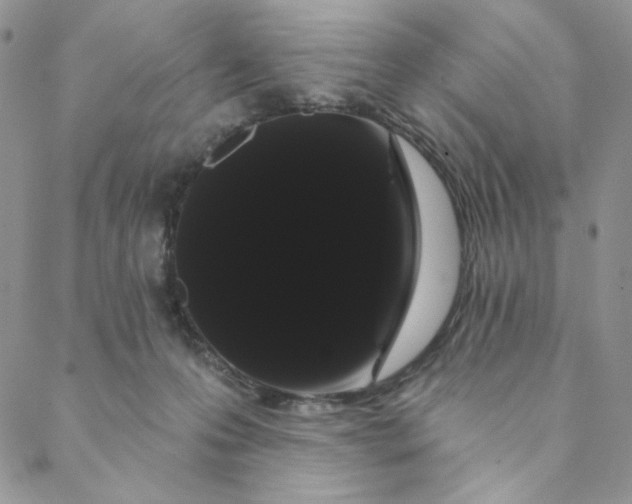 X0000088590223200706081336