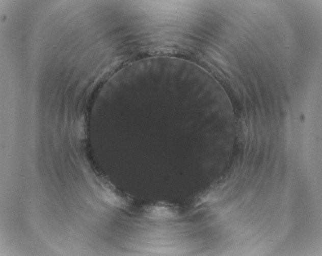 X0000088590224200706081336