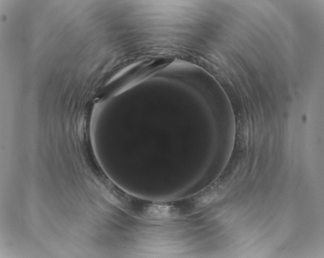 X0000088590227200706081336