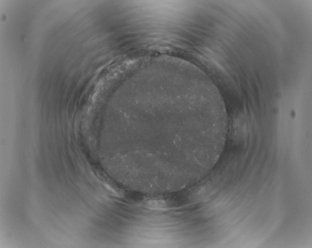 X0000088590228200706081336