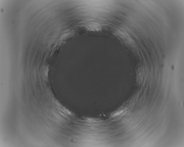 X0000088590229200706081336