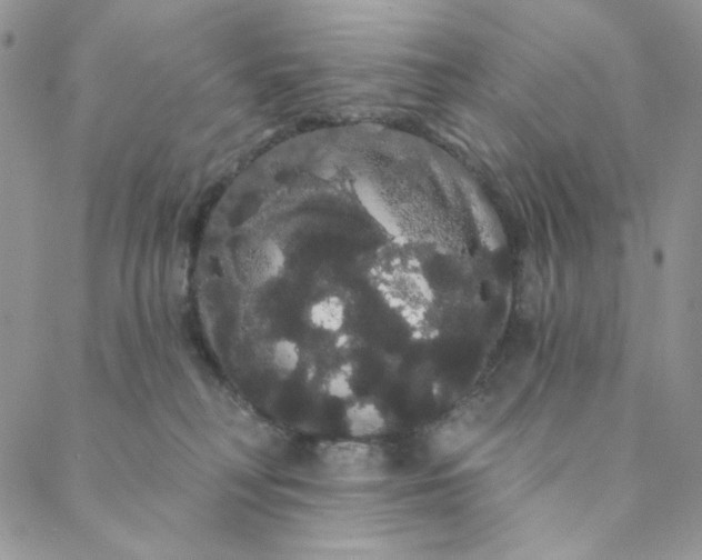 X0000088590230200706081336