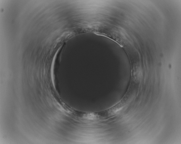 X0000088590231200706081336