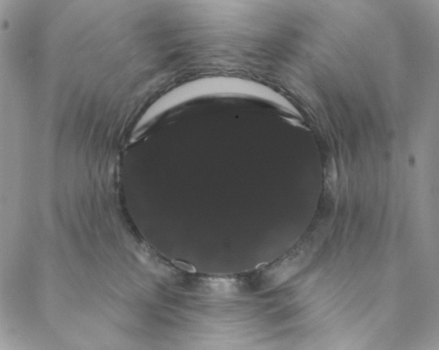 X0000088590233200706081335