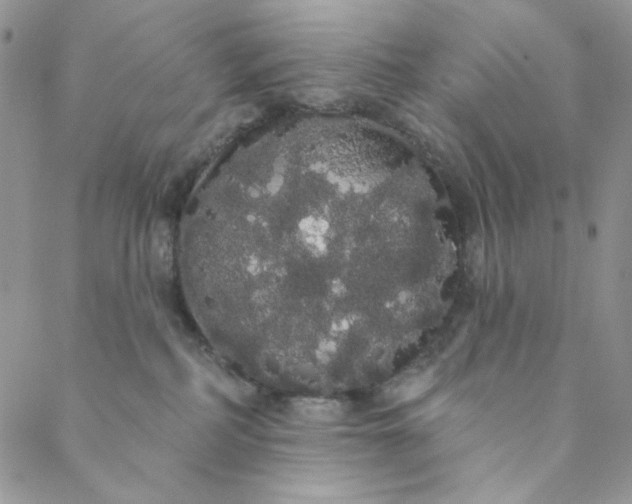 X0000088590234200706081335