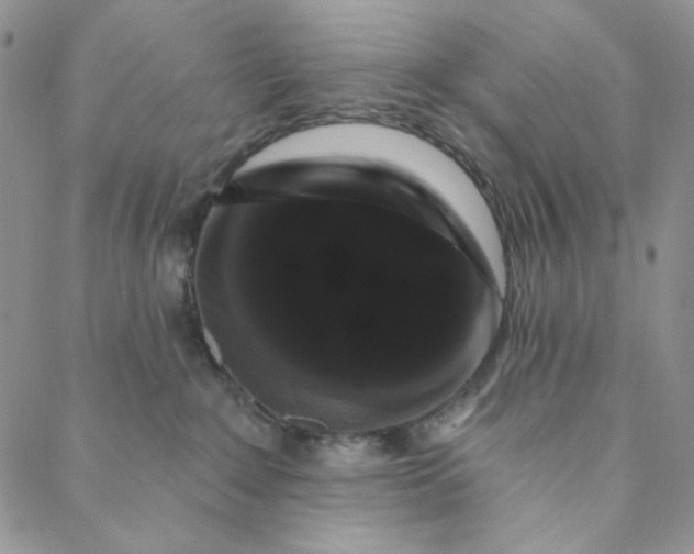 X0000088590235200706081335