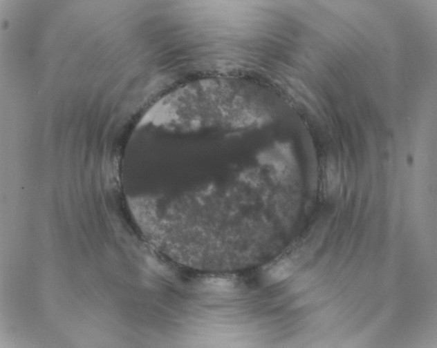 X0000088590236200706081335